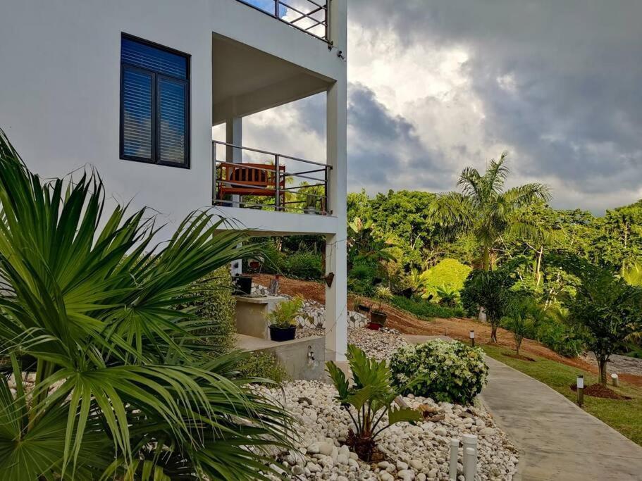 The Willow Apartment Ocho Rios Zewnętrze zdjęcie