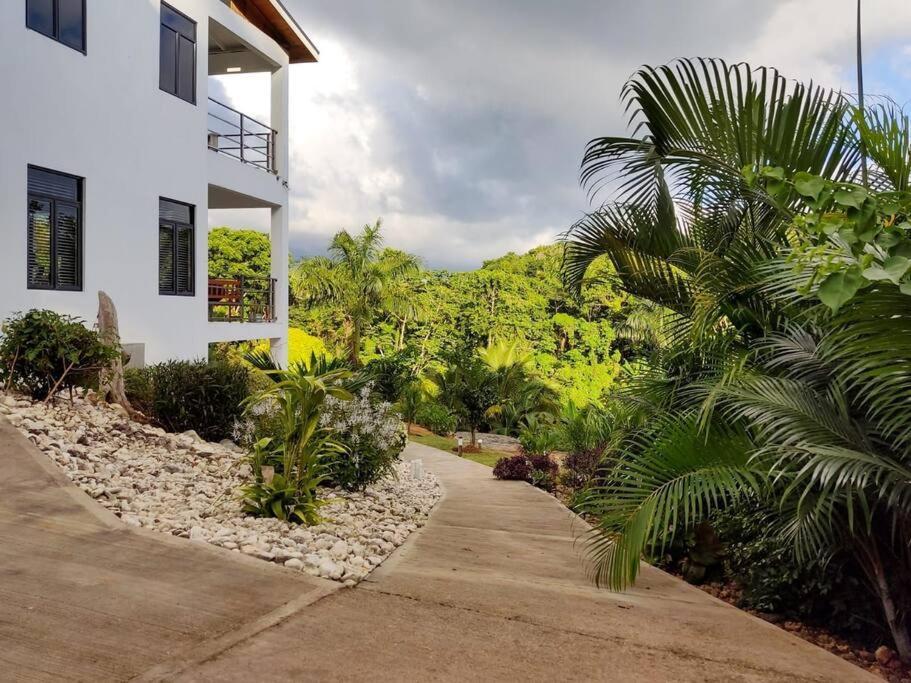 The Willow Apartment Ocho Rios Zewnętrze zdjęcie
