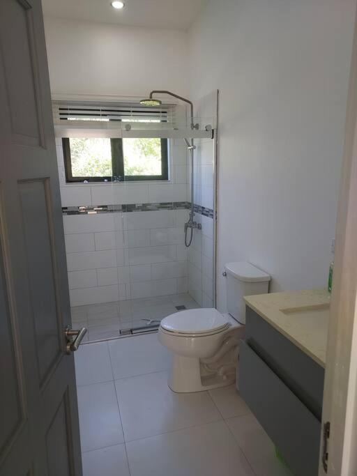 The Willow Apartment Ocho Rios Zewnętrze zdjęcie