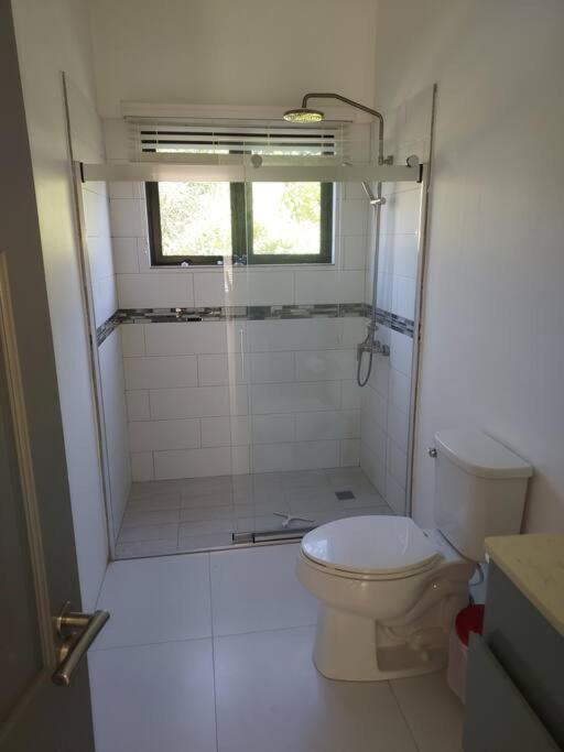 The Willow Apartment Ocho Rios Zewnętrze zdjęcie
