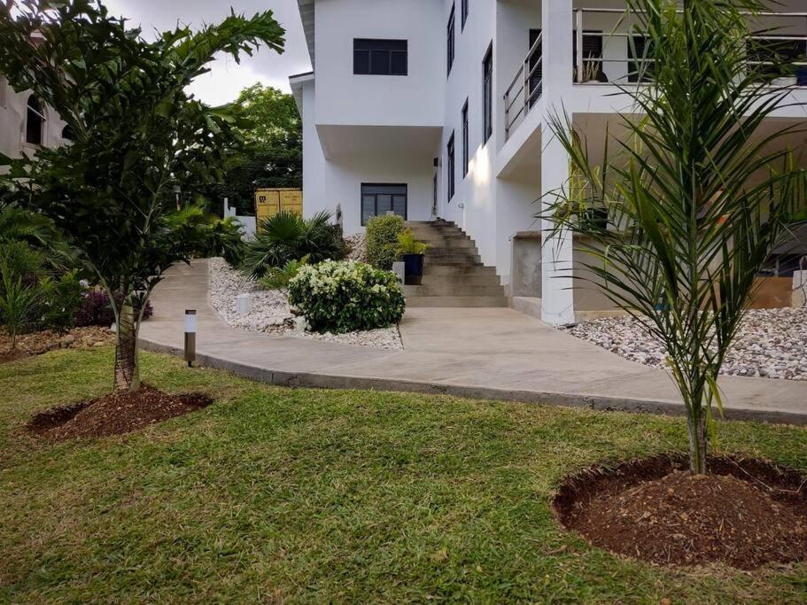The Willow Apartment Ocho Rios Zewnętrze zdjęcie